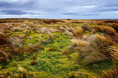 Punta Arenas