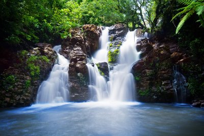 Taveuni