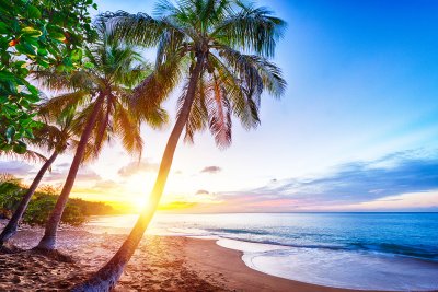 Guadeloupe