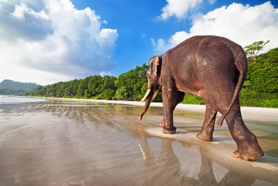 Andaman and Nicobar Islands